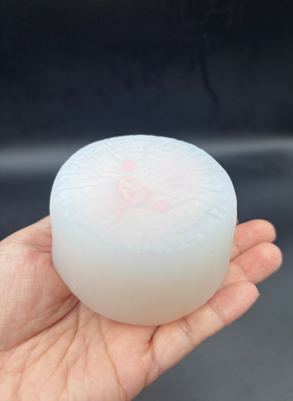 MATTE taba (frozen butter but less sticky) bear log taba squishy