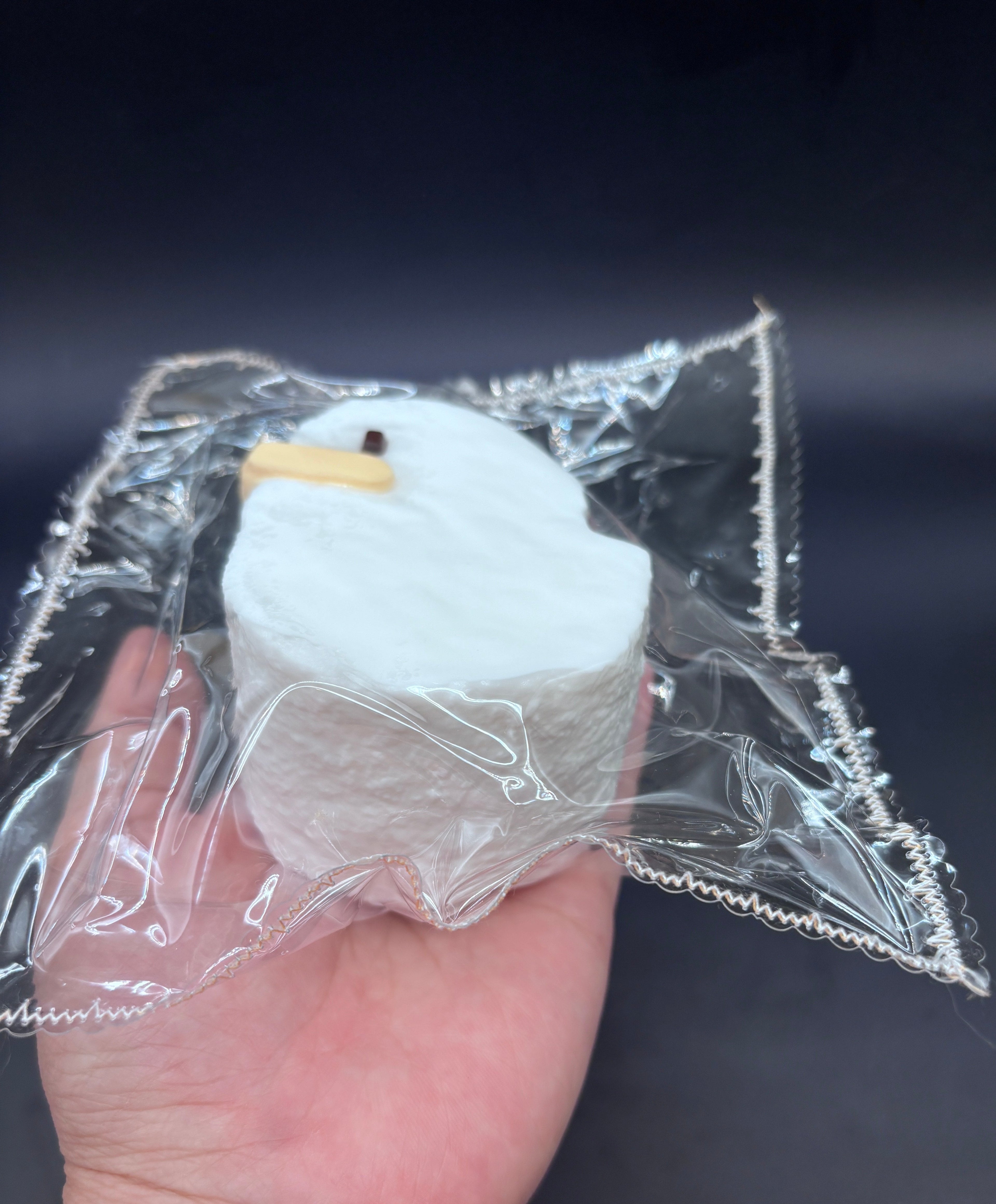 Frozen butter duck cake taba squishy